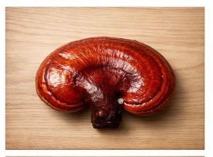 Reishi