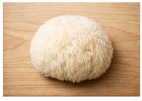 Lion’s Mane