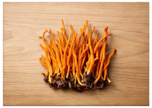 Cordyceps 