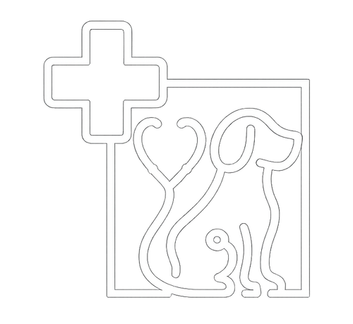 Created By Rehab Experts