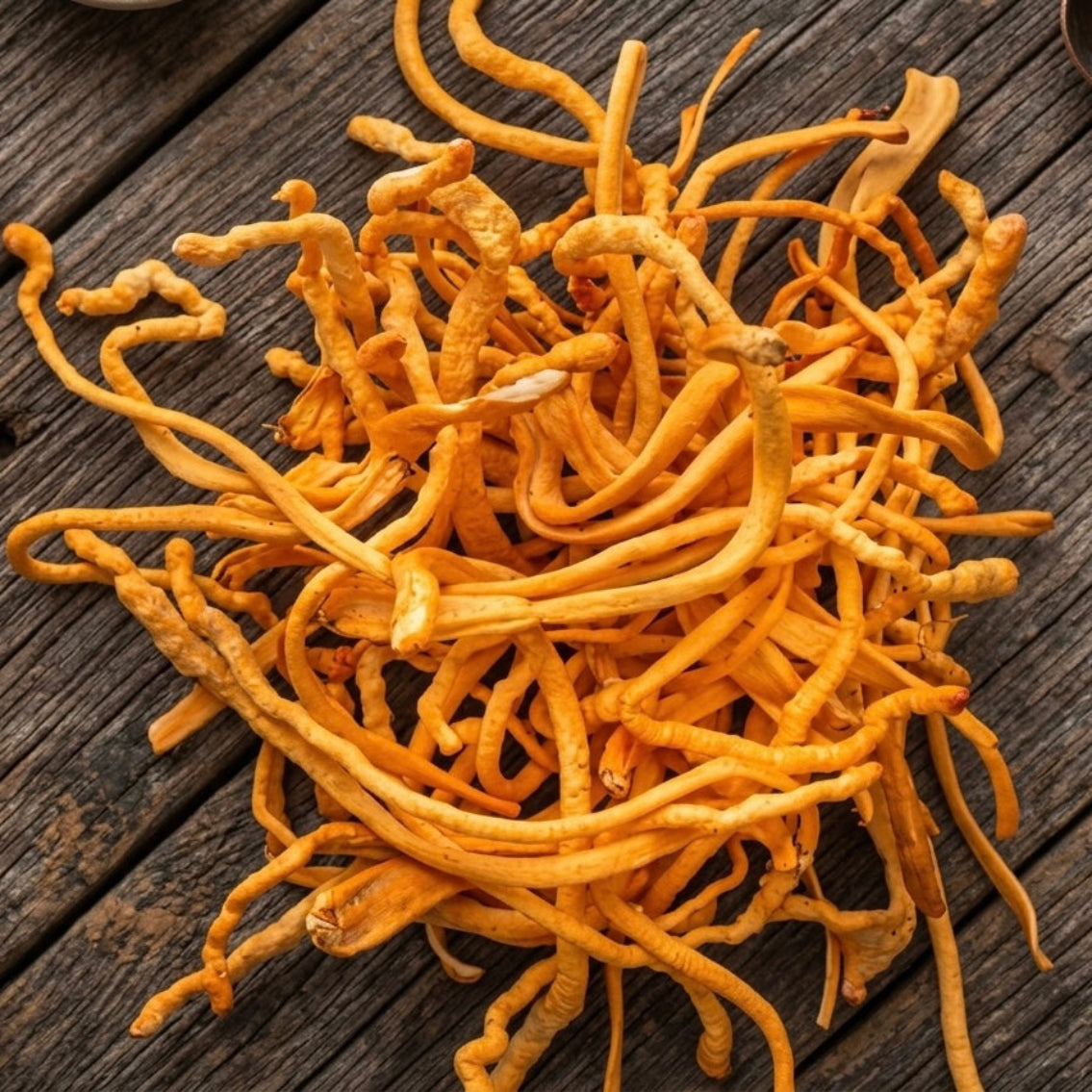 Organic Cordyceps mushroom