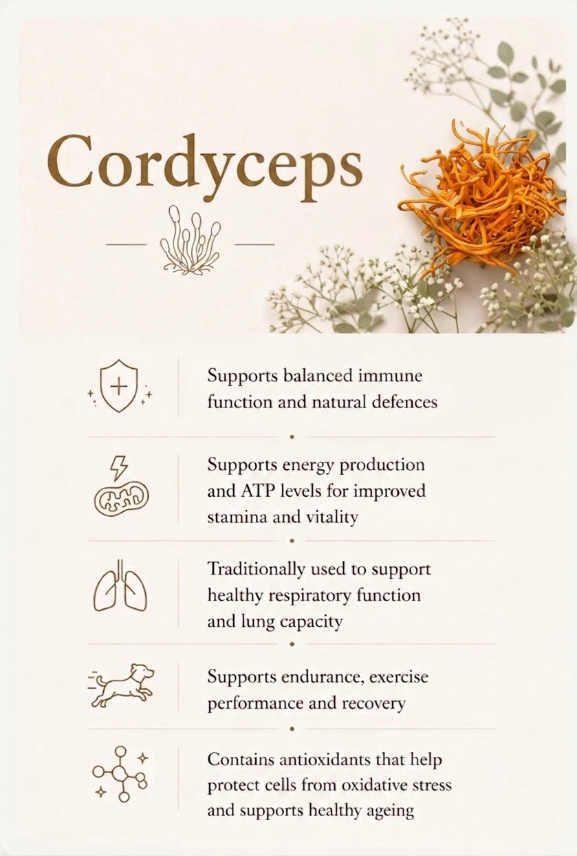 Cordyceps 
