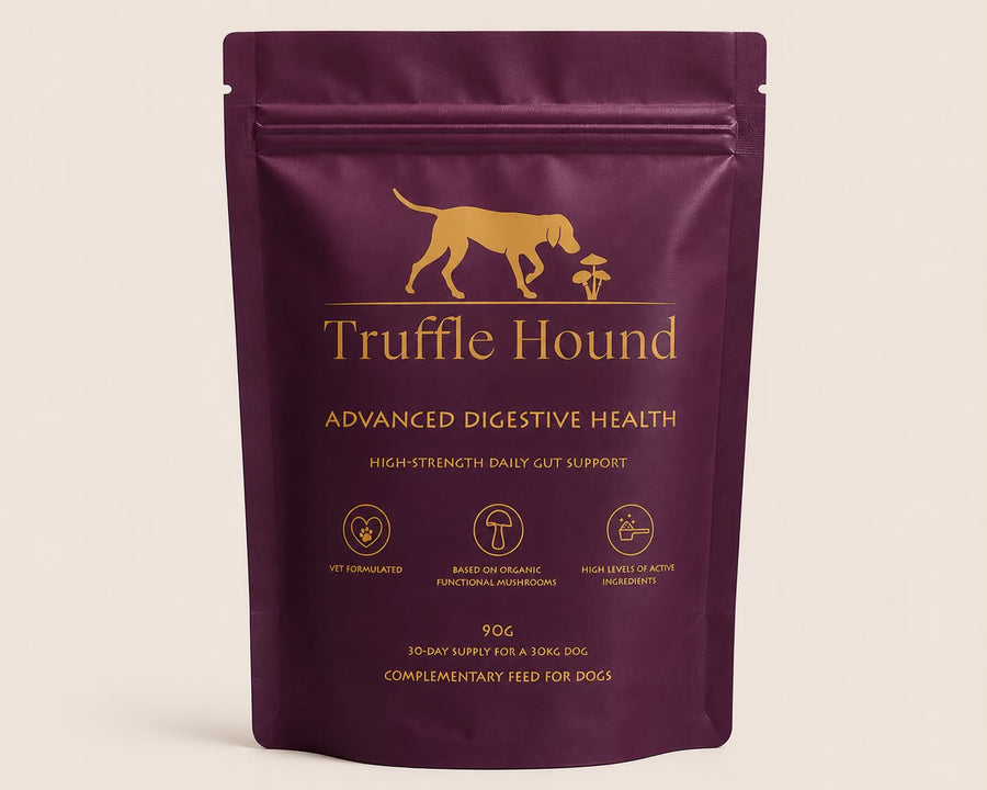 Advanced Digestive Health
