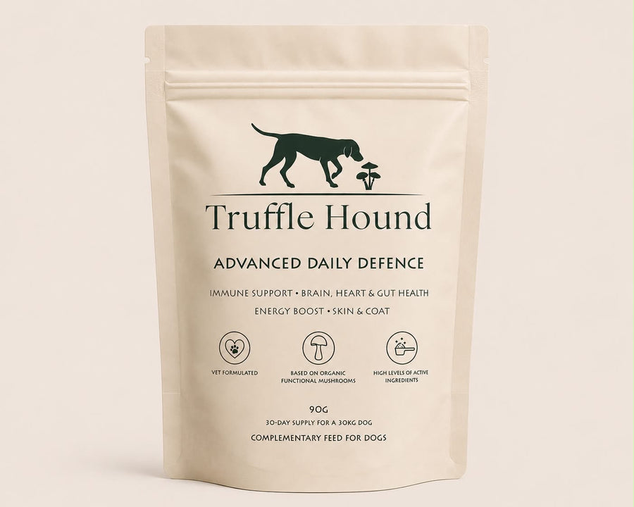 Daily Defence Blend