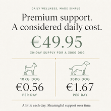 Truffle Hound premium cost per day comparison for 10kg and 30kg dogs